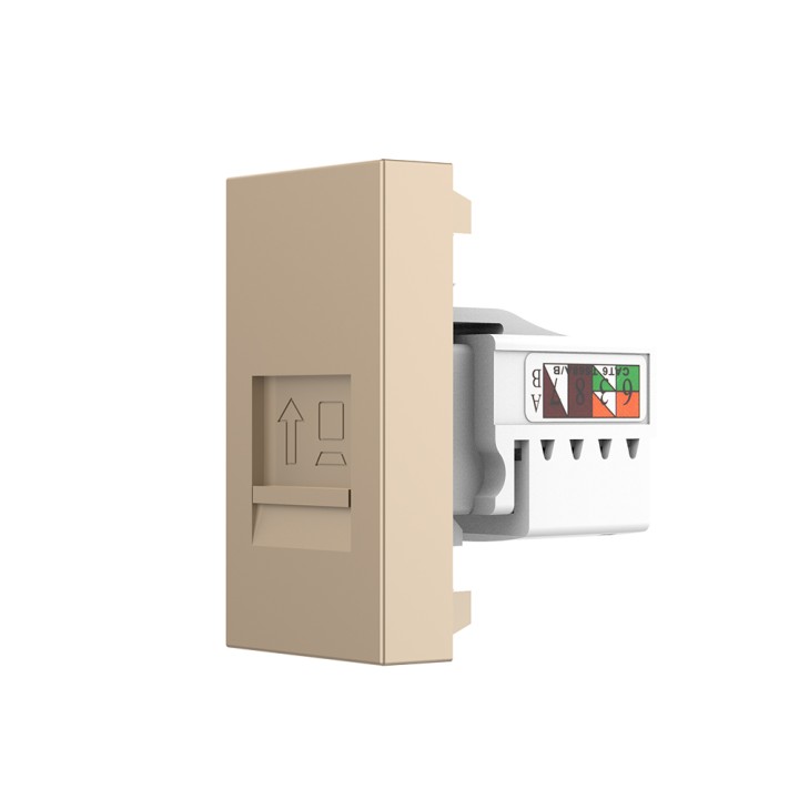 Mécanisme prise réseau RJ45 Cat.6 - Doré
