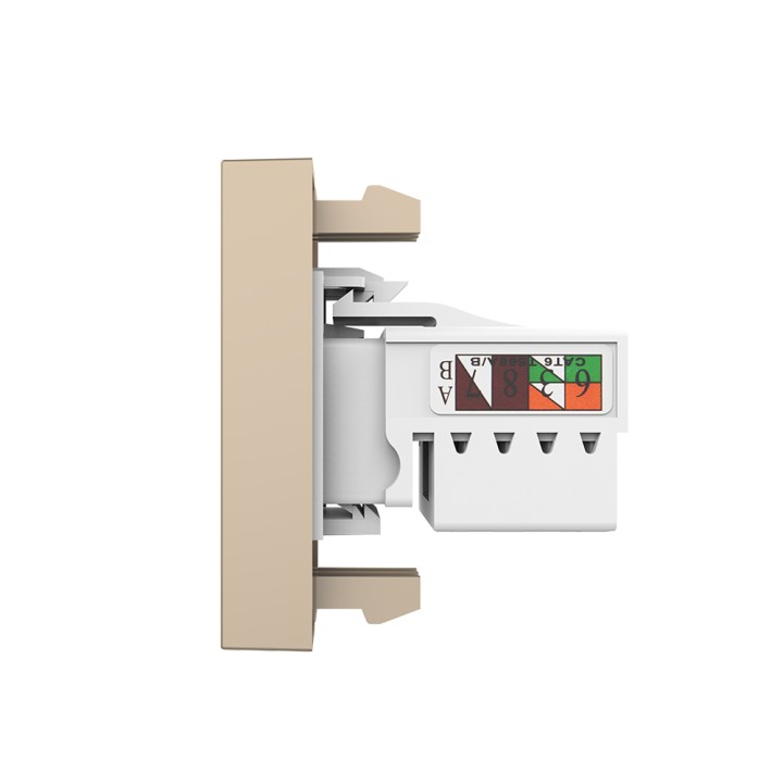 Mécanisme prise réseau RJ45 Cat.6 - Doré