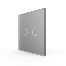Plaque de finition en verre tactile 2 Boutons – Gris Mat
