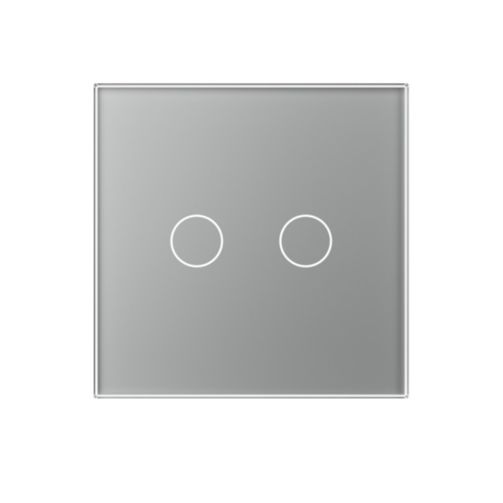 Plaque de finition en verre tactile 2 Boutons – Gris Mat